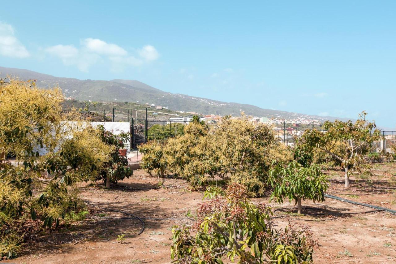 Casa Quemahierro 2 Villa Икод де лос Винос Екстериор снимка